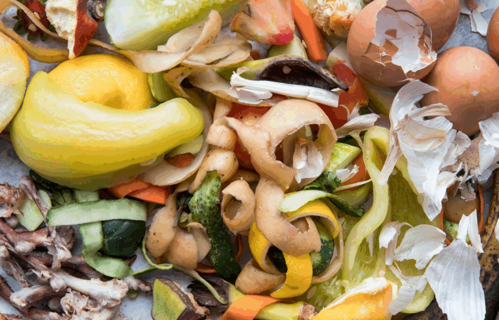 ¿Cómo debo separar la basura en la CDMX a partir del 1 de enero de 2026?