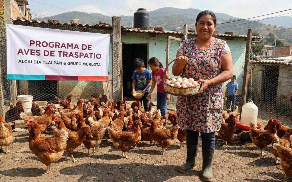 programa avícola para mujeres jefas de familia en Tlalpan