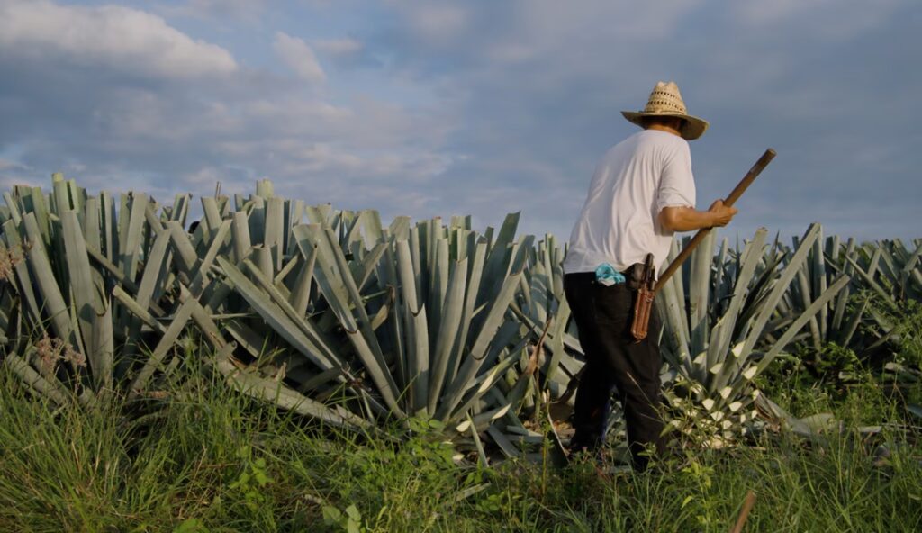 El campo en tensión: campesinos y transportistas enfrentan un muro con el gobierno
