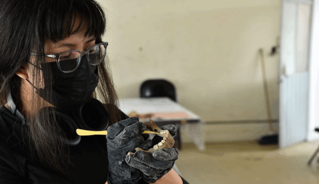 INAH descubre restos humanos de hace más de 8 mil años en Chiapas INAH descubre restos humanos de hace más de 8 mil años en Chiapas