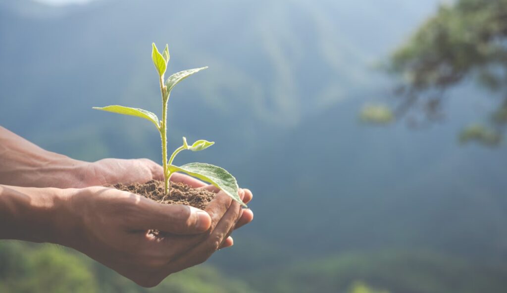 El cuidado del medio ambiente toma protagonismo en el T-MEC El cuidado del medio ambiente toma protagonismo en el T-MEC