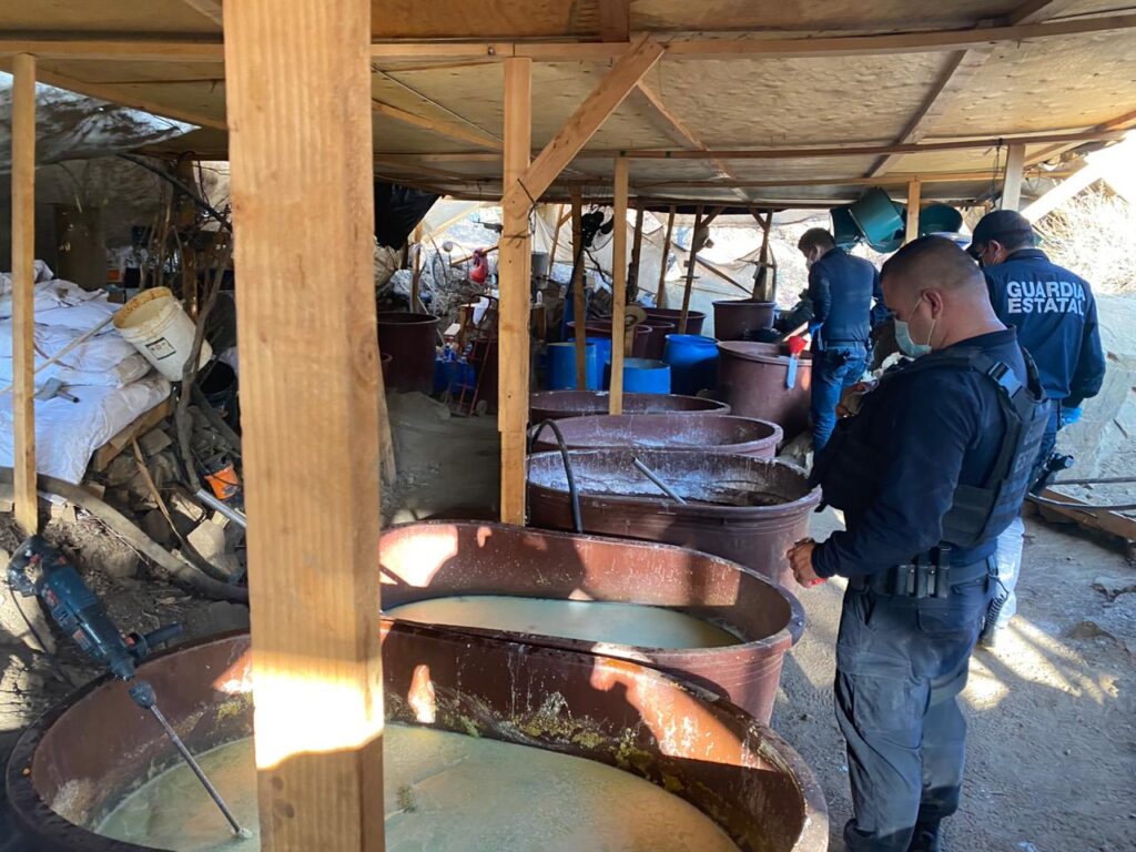 El narcotráfico es el tercer mayor empleador de México: estudio El narcotráfico es el tercer mayor empleador de México: estudio