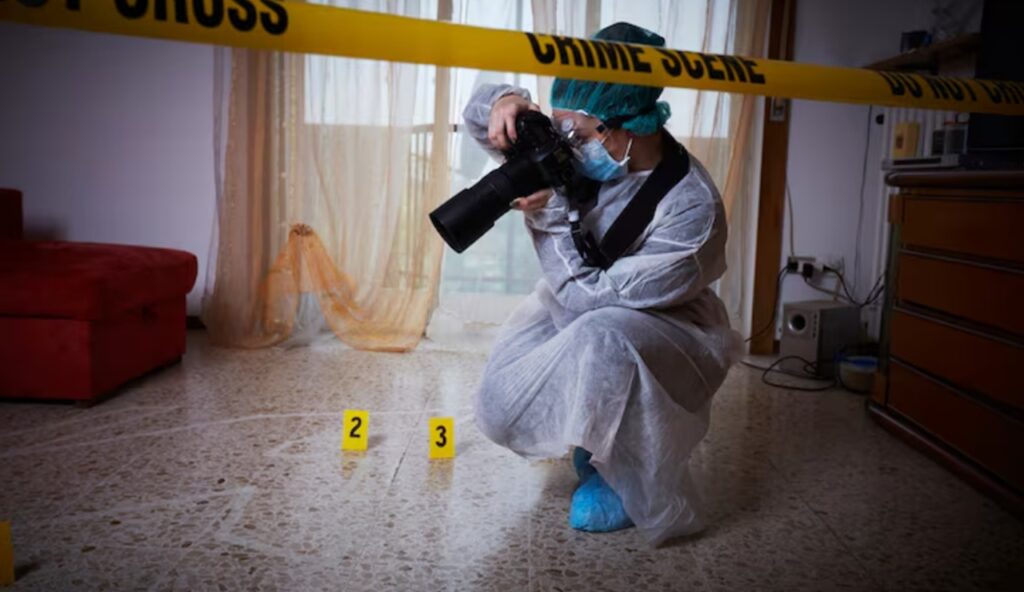 Caen homicidios dolosos en México: cifras entre 2024 y 2026